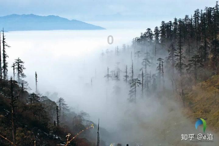 《如果奔跑是我的人生》12:秦峰后悔了?他会毁在楚经理的手上